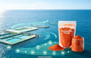 Astaxanthin Powder Supplier for Animal Nutrition