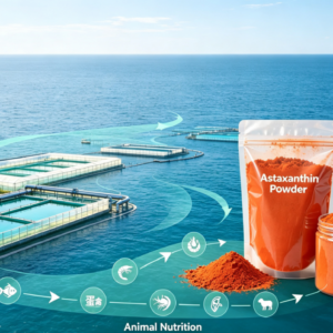 Astaxanthin Powder Supplier for Animal Nutrition