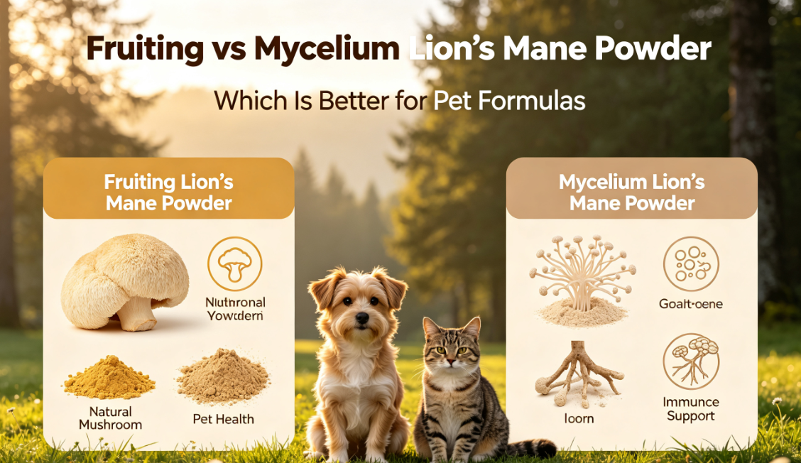 Fruiting vs Mycelium Lion’s Mane Powder: Which Is Better for Pet Formulas