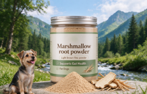 Wholesale Marshmallow Root Powder in China
